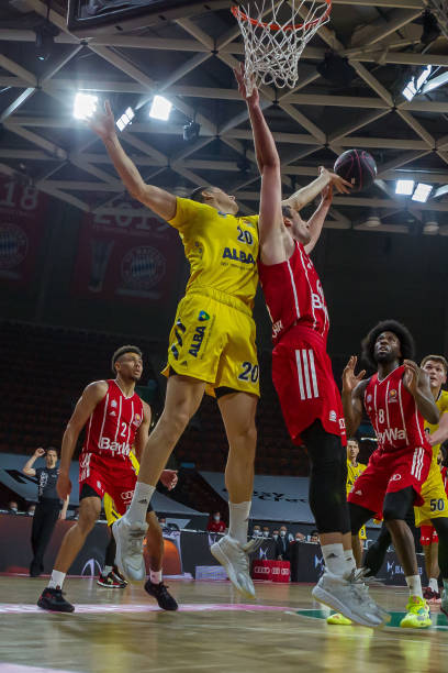 亚队的博斯 亚队的博斯